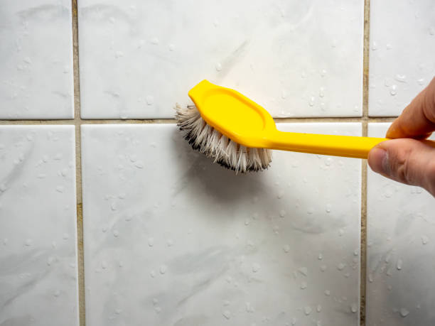 Best Commercial Mold Removal  in University Park, IL