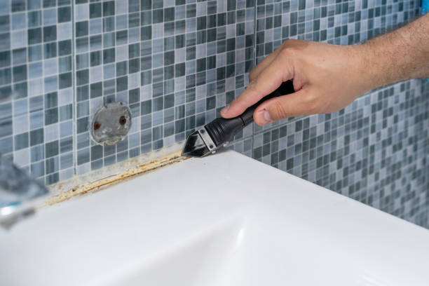 Best Mold Testing  in University Park, IL