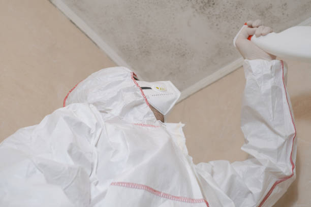 Best Crawl Space Mold Removal  in University Park, IL